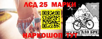 гидропоника Будённовск