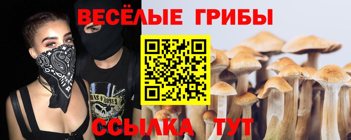 Галлюциногенные грибы Cubensis  Галлюциногенные грибы GOLDEN TEACHER  Вход с VPN  Сызрань 